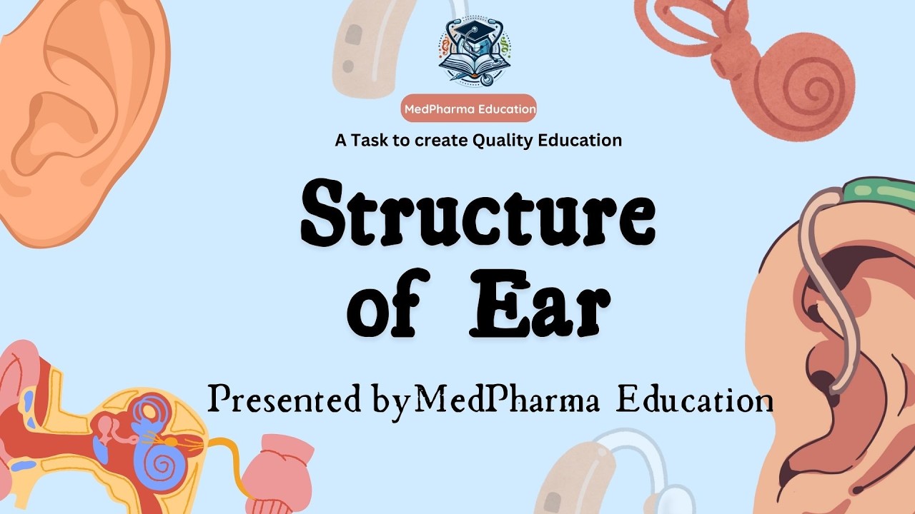 “Structure of Ear | External, Middle & Inner Ear Explained | B.Pharm Sem 1 Anatomy & Physiology”
