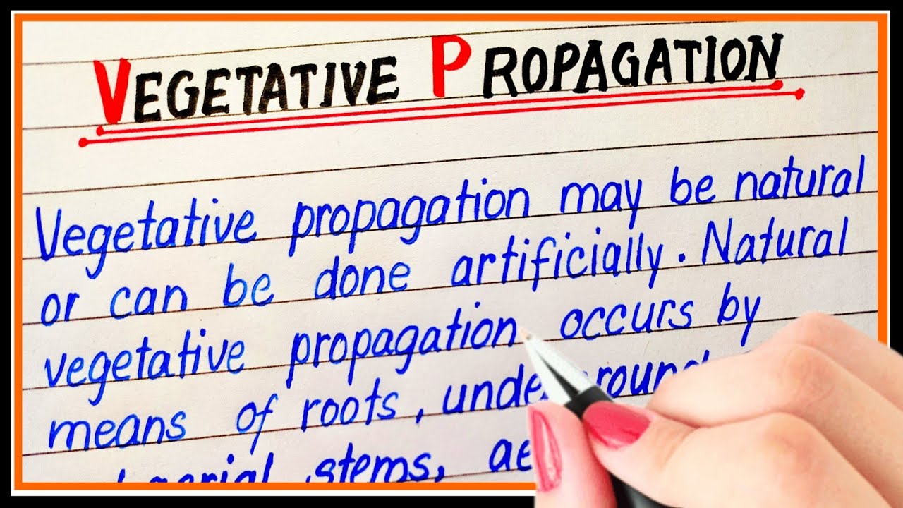 What is vegetative propagation | Definition of vegetative propagation
