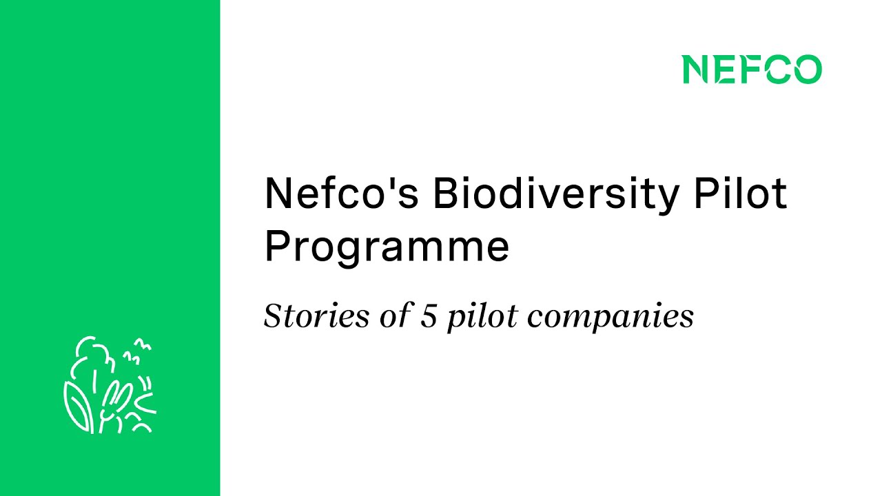 Nefco's Biodiversity Pilot Programme - Stories of 5 pilot companies