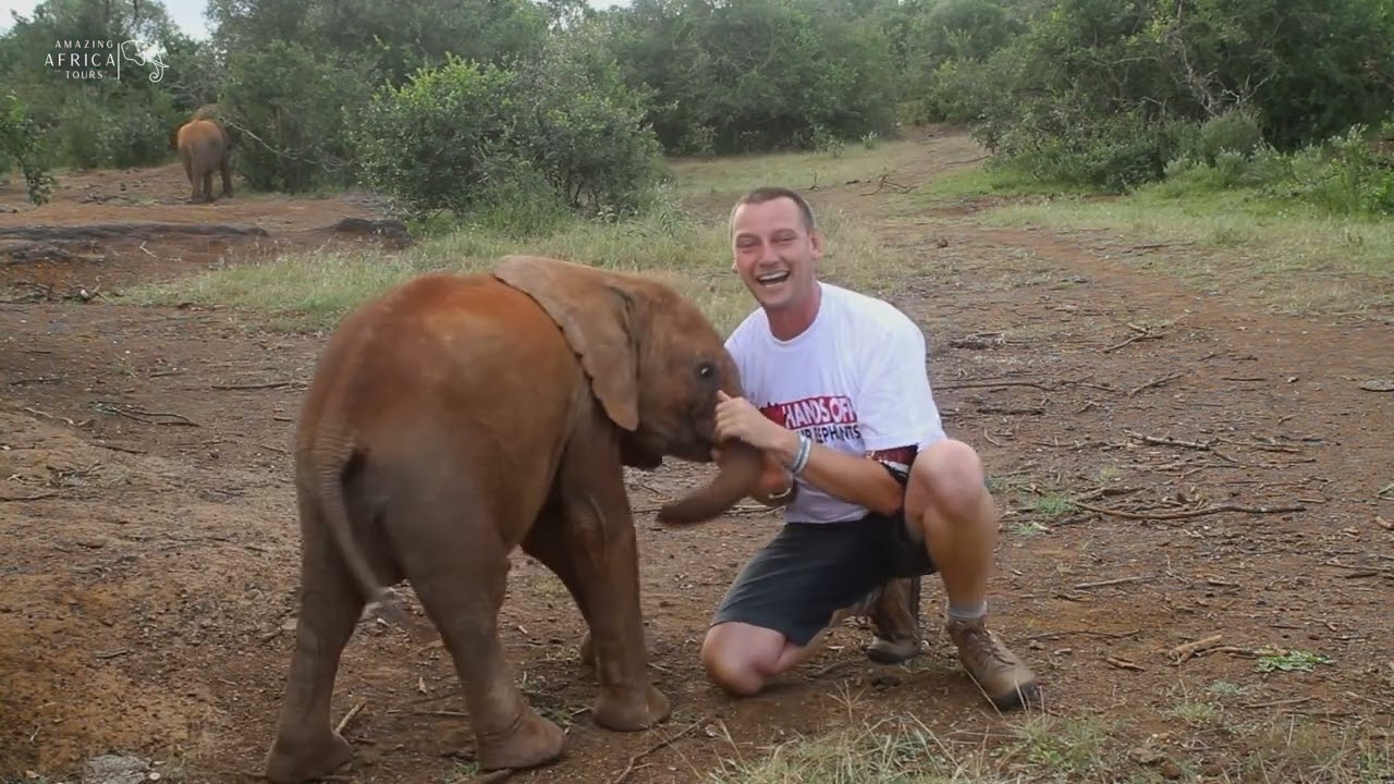 My love for Elephants - A Baby Elephant Interview (Throwback)