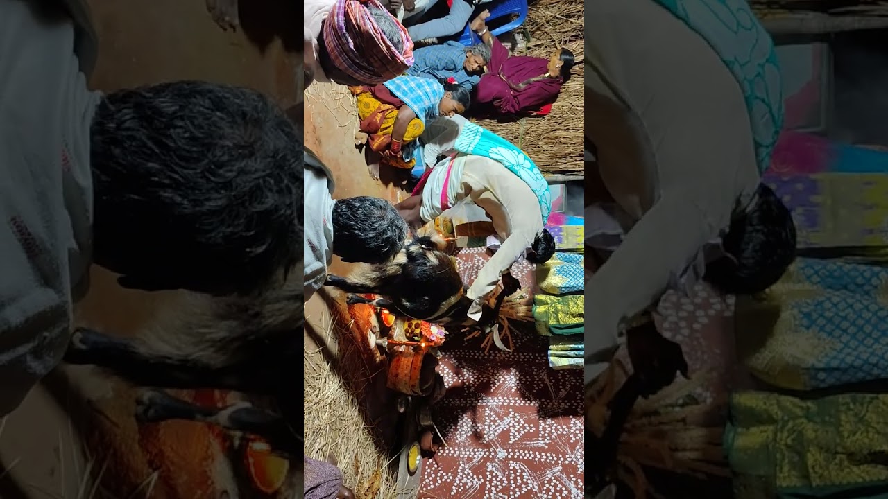 Korada busayya golla chavau 
