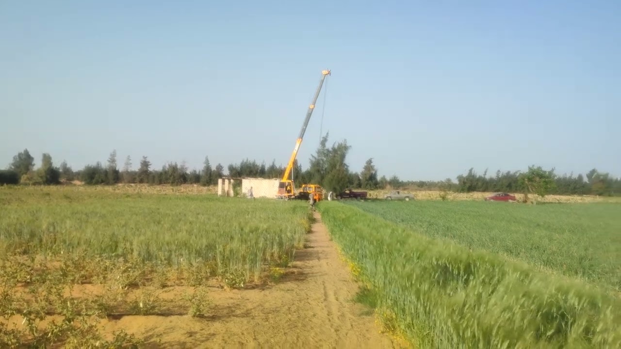مزارع للبيع مزرعه ٥ فدان  للبيع ملك نهائي طريق ابوغالب تلت ساعه من زايد