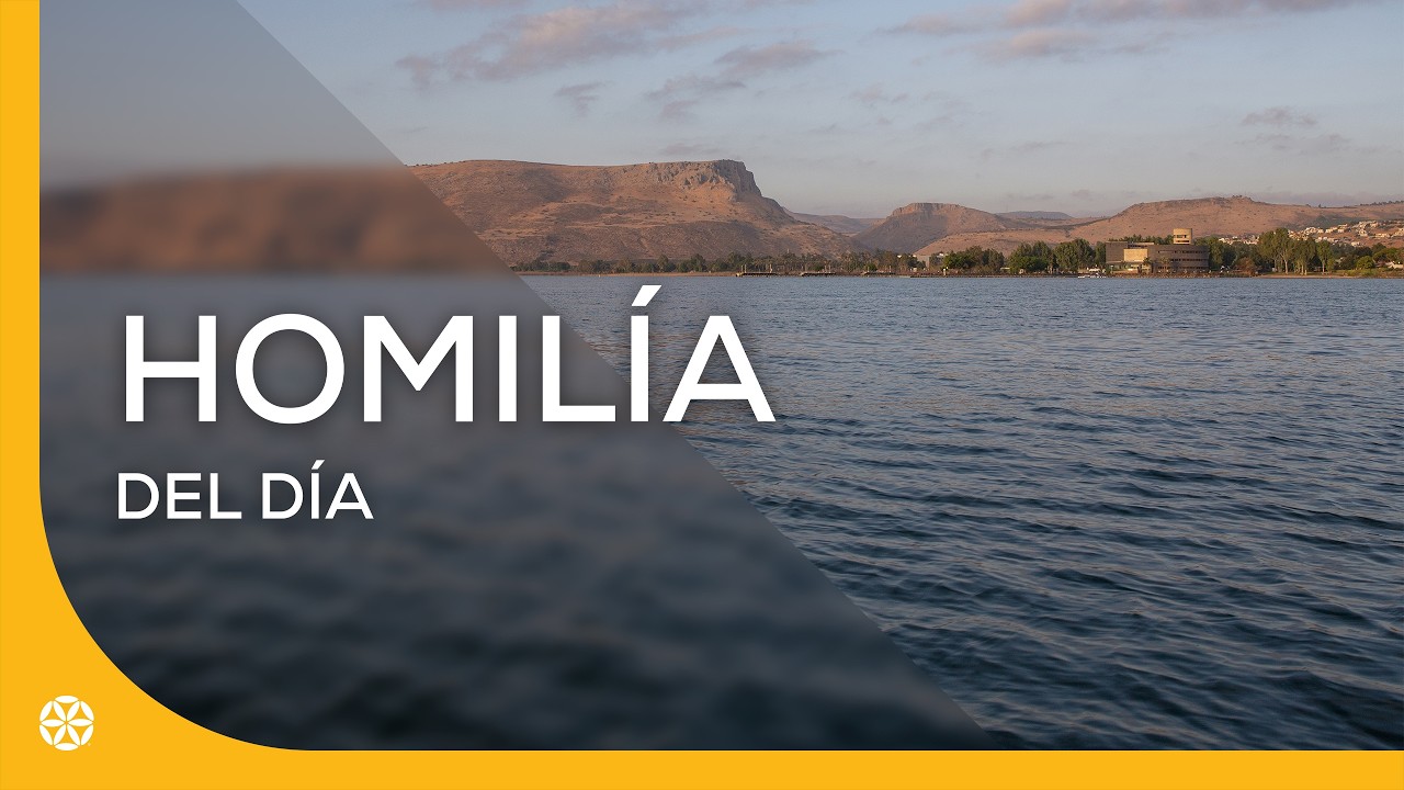 Martes, 3 de febrero | Homilía del día | Magdala, Tierra Santa