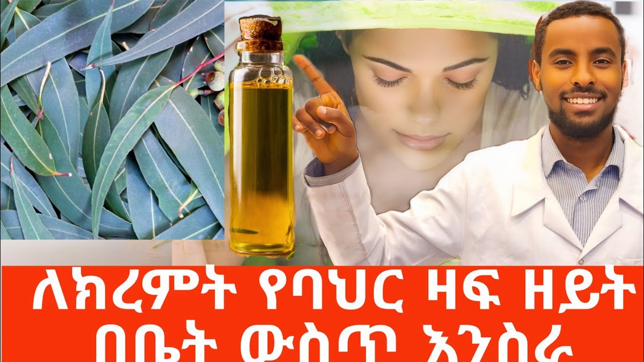 የባህር ዛፍ ዘይት ለጉንፋን፣ቶንሲል፣ለፀጉር ፣ለእግር ሽታ...በቤት ውስጥ እንስራ /How to make eucalyptus oil at home