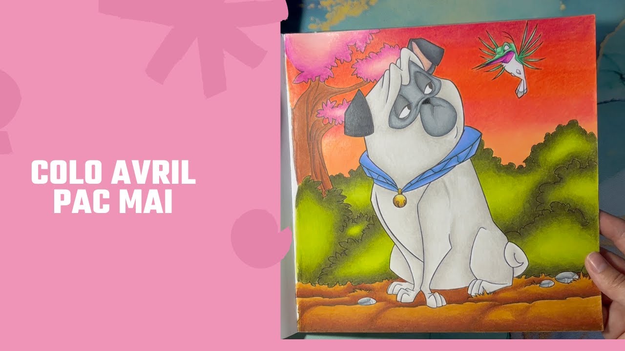 colo davril et pac de mai