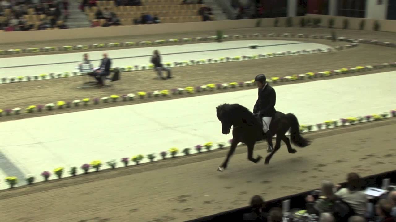 WorldToelt 2013 - Daníel Jónsson og Oliver frá Kvistum