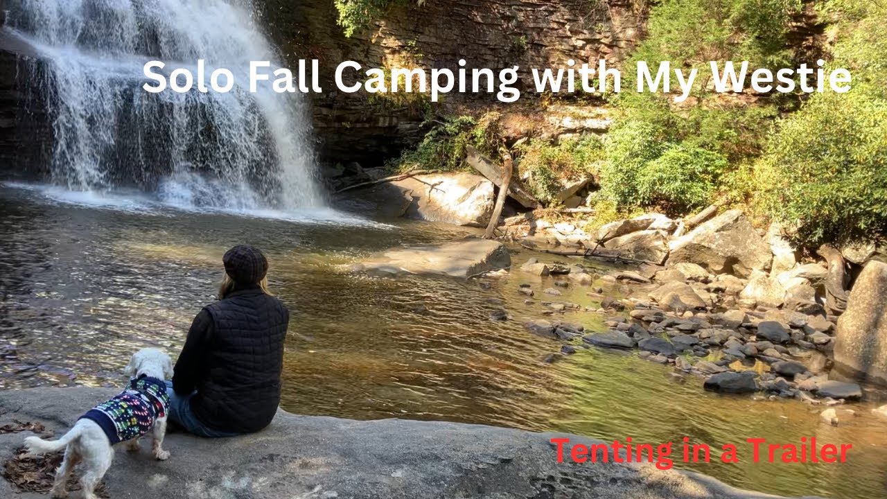 Solo Fall Camping with My Westie | Solo Airstream Female Traveler | Airstream 22FB Sport
