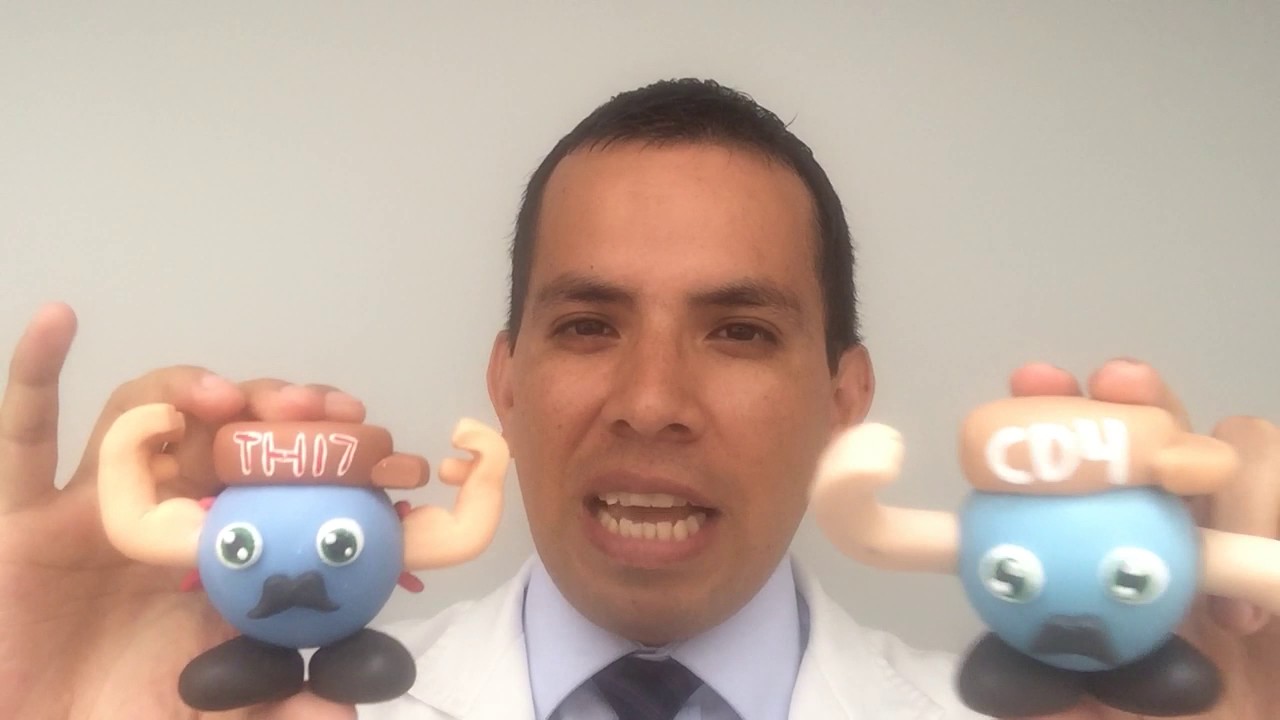 LOS LINFOCITOS T CD4