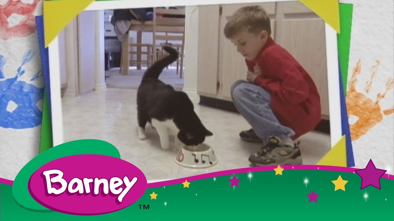 🐱 Barney - Vets (Full Episode)