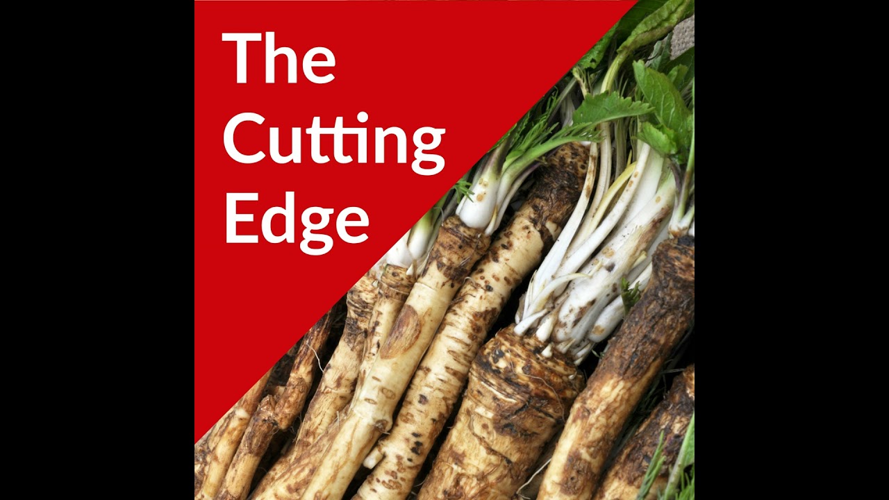 Episode #40: Silver Springs Foods