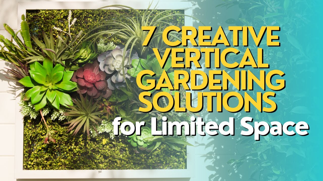 Top 7 Creative Vertical Gardening Solutions for Limited Space