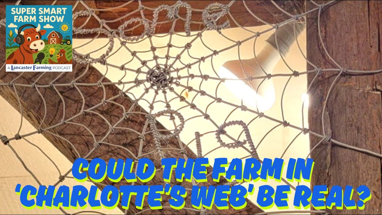 Could the Farm in 'Charlotte's Web' Be Real?