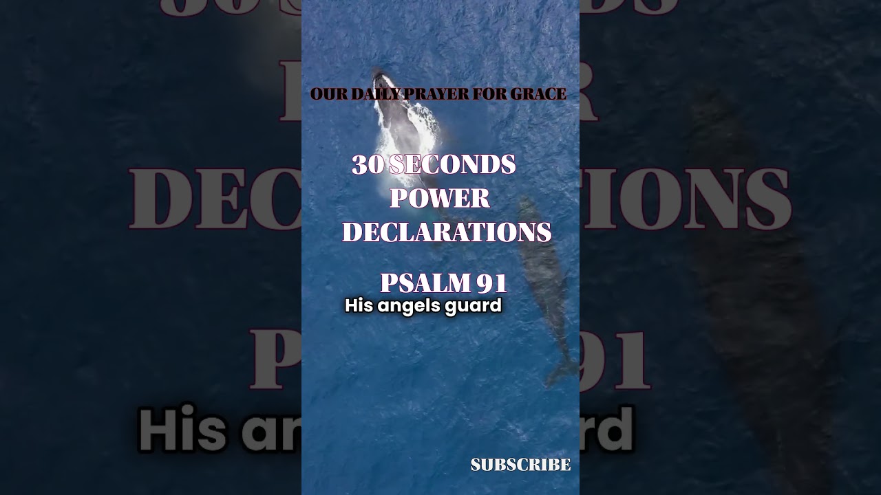 PSALM 91 POWER DECLARATIONS 