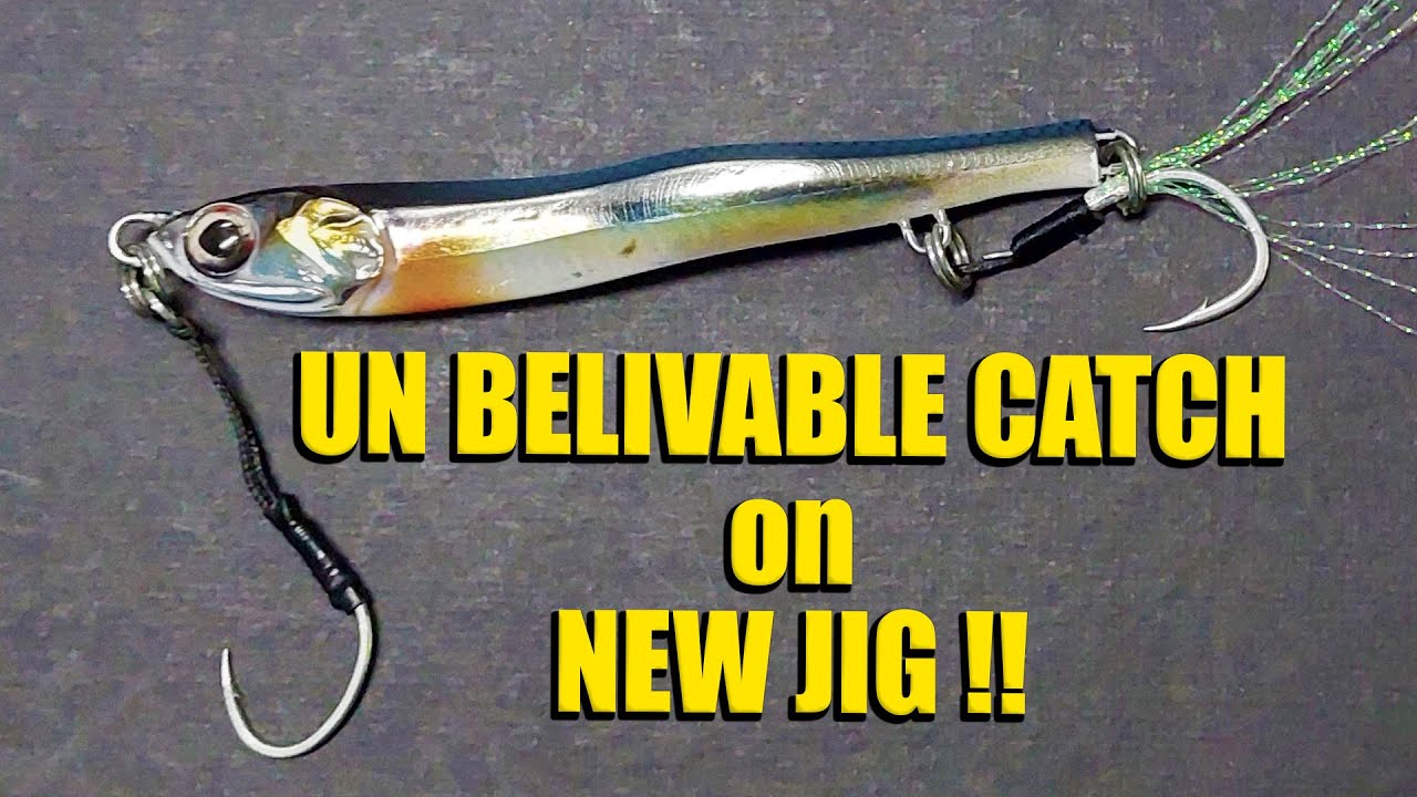 Unbelievable catch on shore jigging ! LITTLE JACK metal addict jig - Shore jigging inland sea qatar