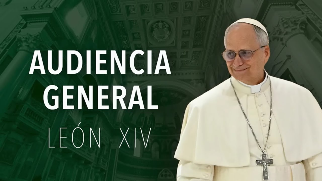 Audiencia General del Papa 2026-01-28