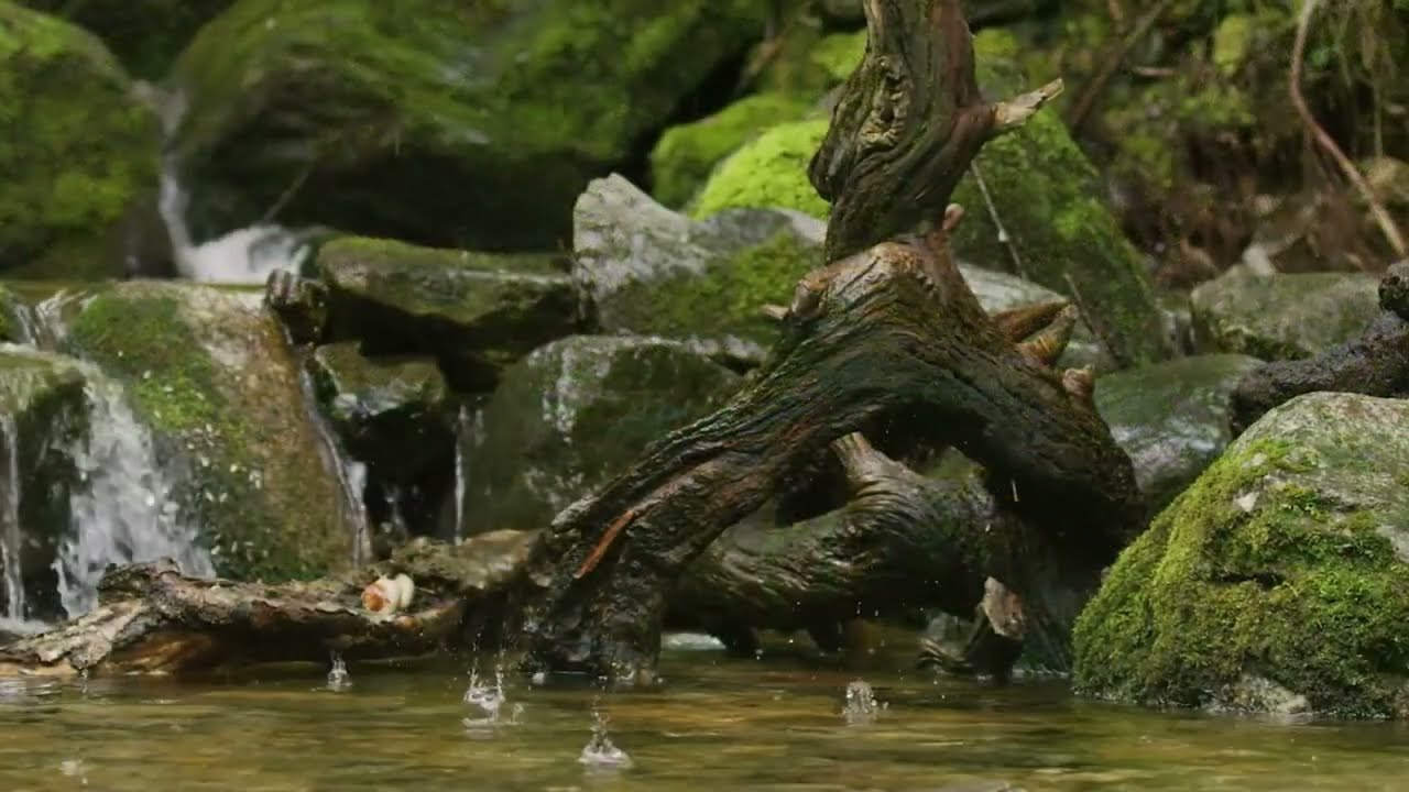 Deep Sleep Music: Heavy Rain & Soft Piano | Insomnia Relief