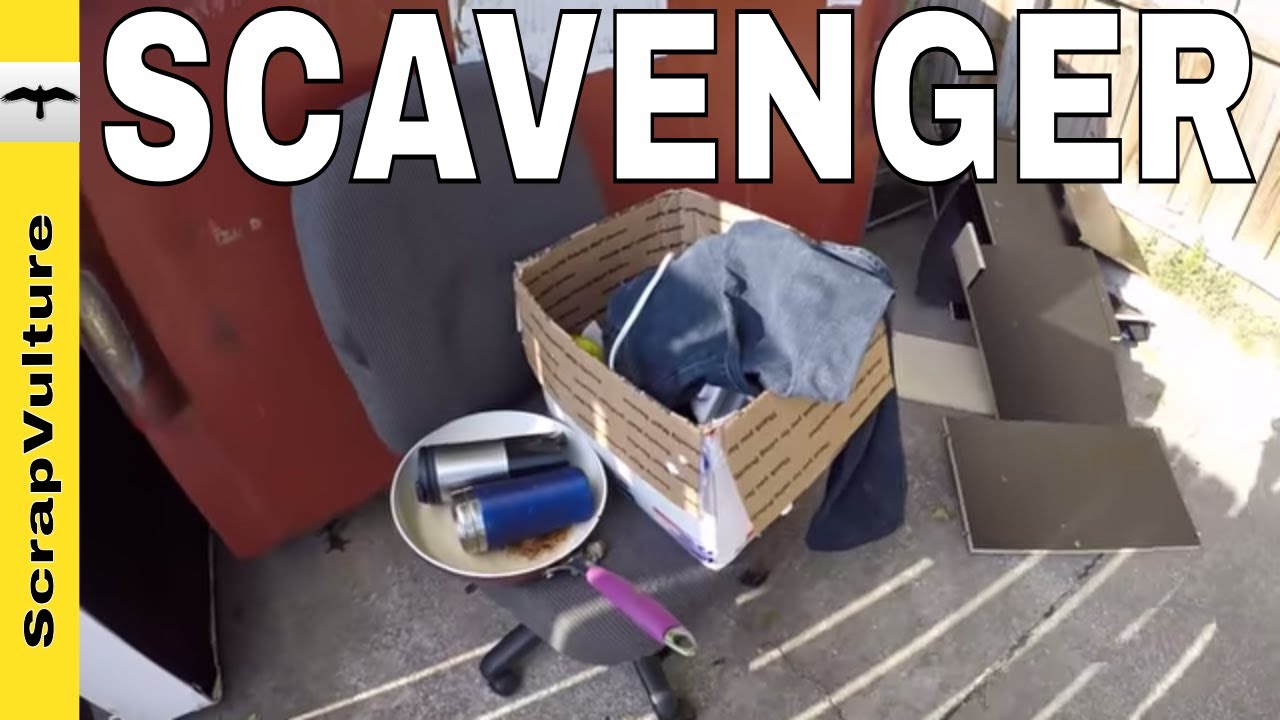 A DAY In The Life of a SCAVENGER - Scrap YARD, Dumpsters, VIDEO Maker