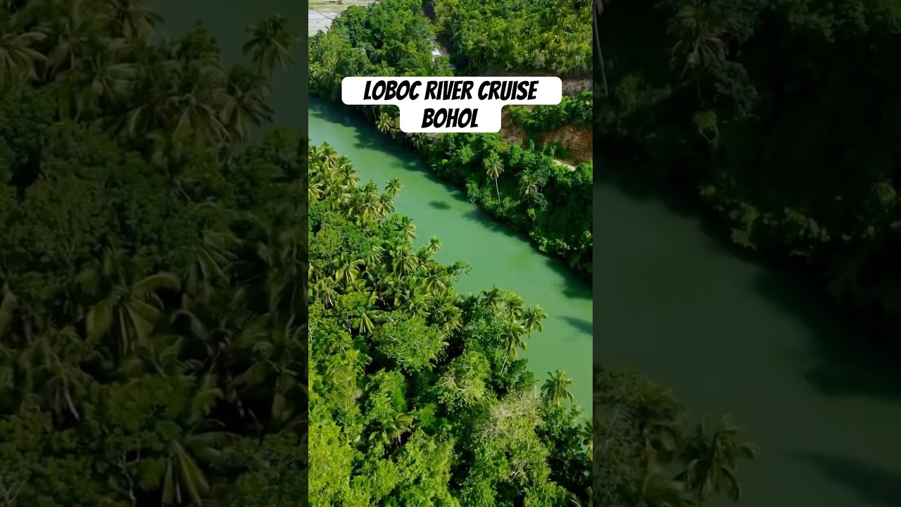 The beautiful loboc river in Bohol😍🇵🇭 