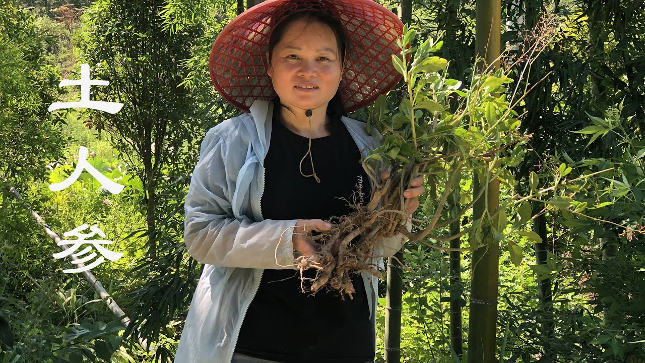 土人参炖土鸡，味道鲜甜可口，具有补中益气的功效【乡村秀姐】