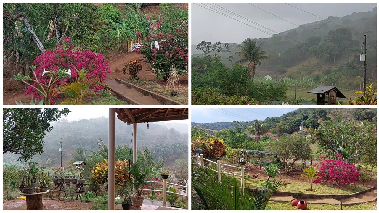 PRIMEIRA TROVOADA DO ANO, FIQUEI MUITO FELIZ COM ESSA CHUVA NA ROÇA 