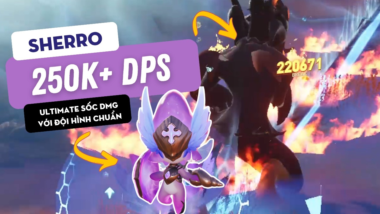 [ANIIMO] HƯỚNG DẪN BUILD SHERRO