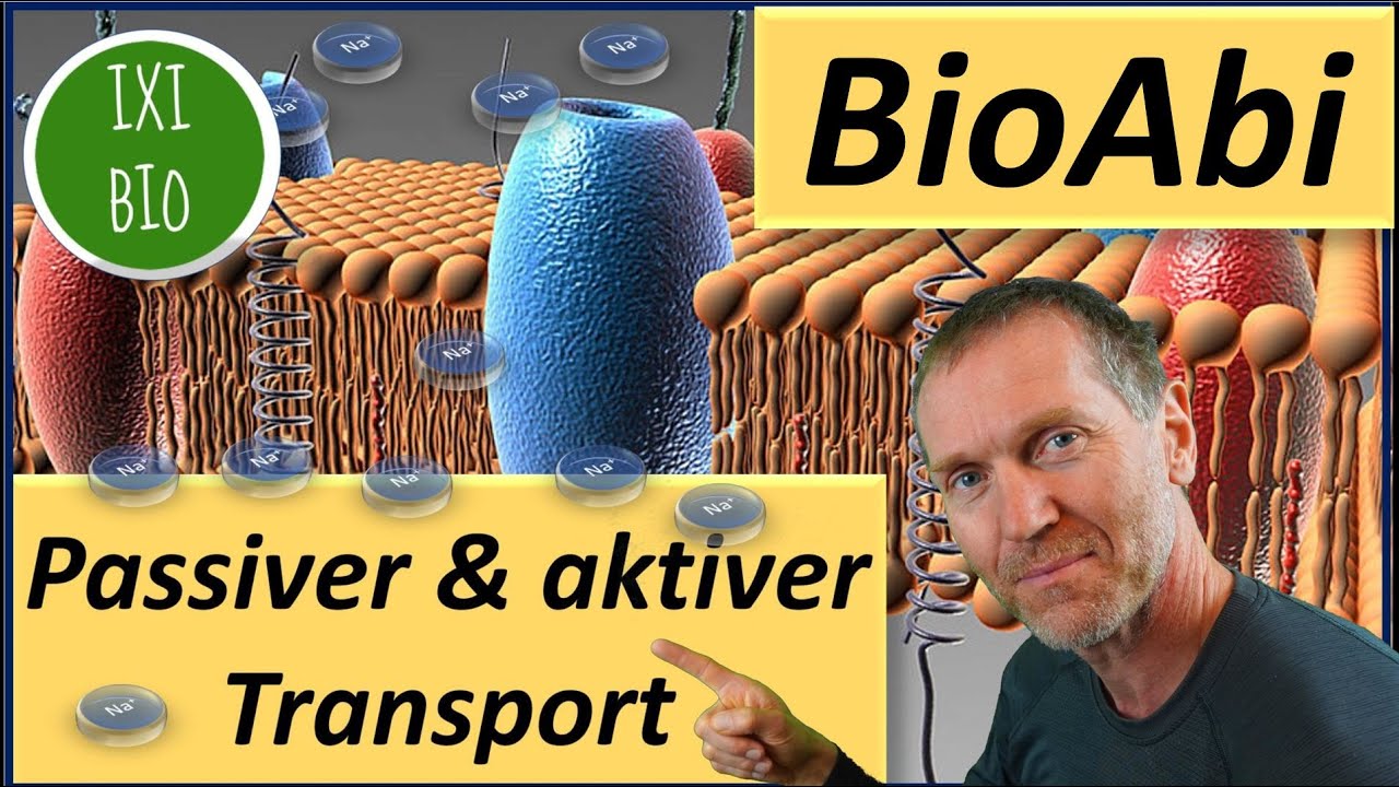 15NP im Abi? Passiver,primär aktiver,sekundär aktiver Transport - Na-K-Pumpe-Unterscheide/Vergleiche