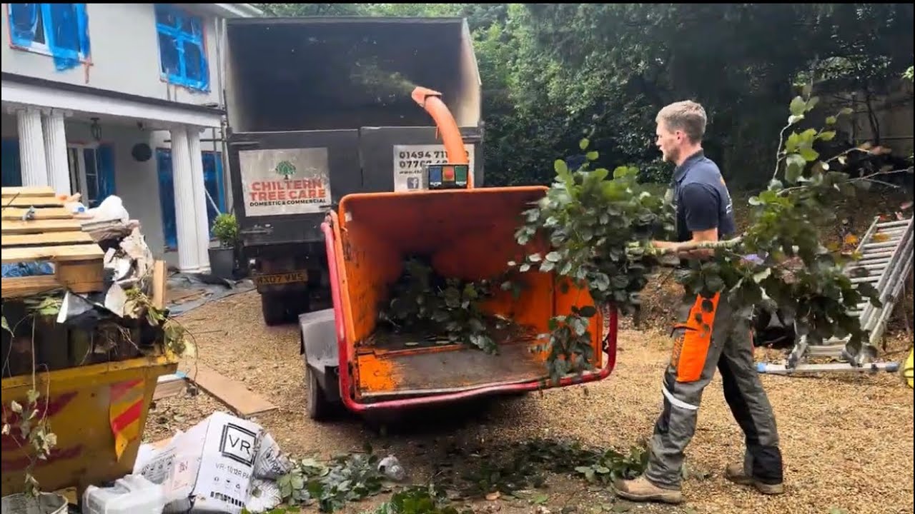 London🇬🇧main Tree🏝️ kaise kat te hain | how to cut big tree in London