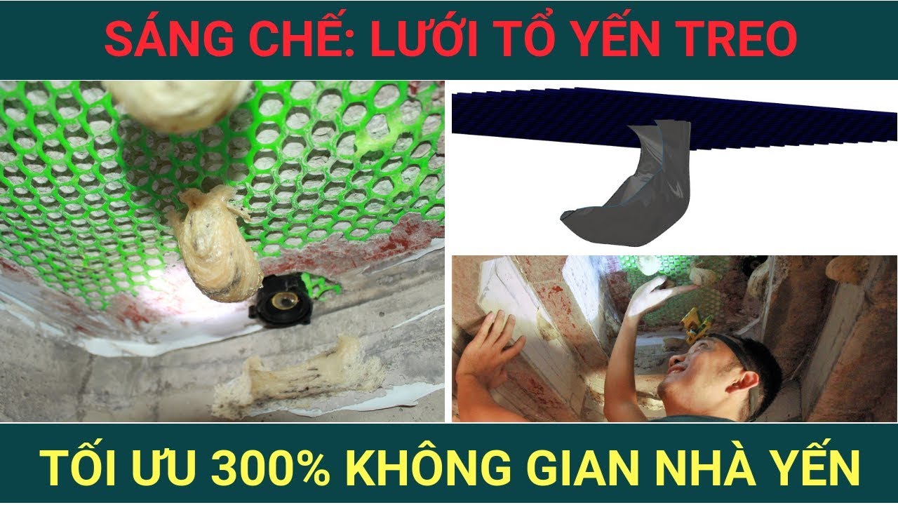 Tối ưu 300% không gian nhà yến với sáng chế LƯỚI TỔ YẾN TREO | Nguoigoiyen.org