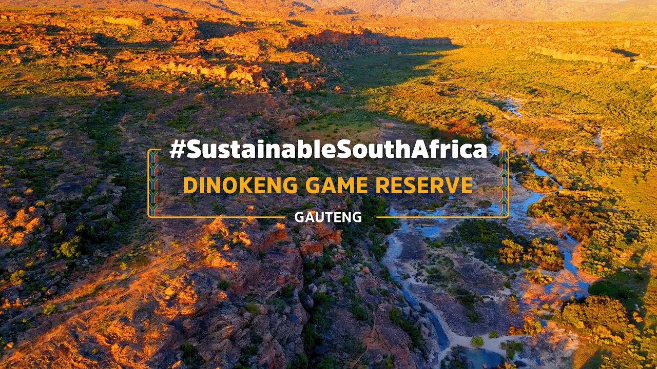 Dinokeng Game Reserve: Rhinos in the Heart of Gauteng