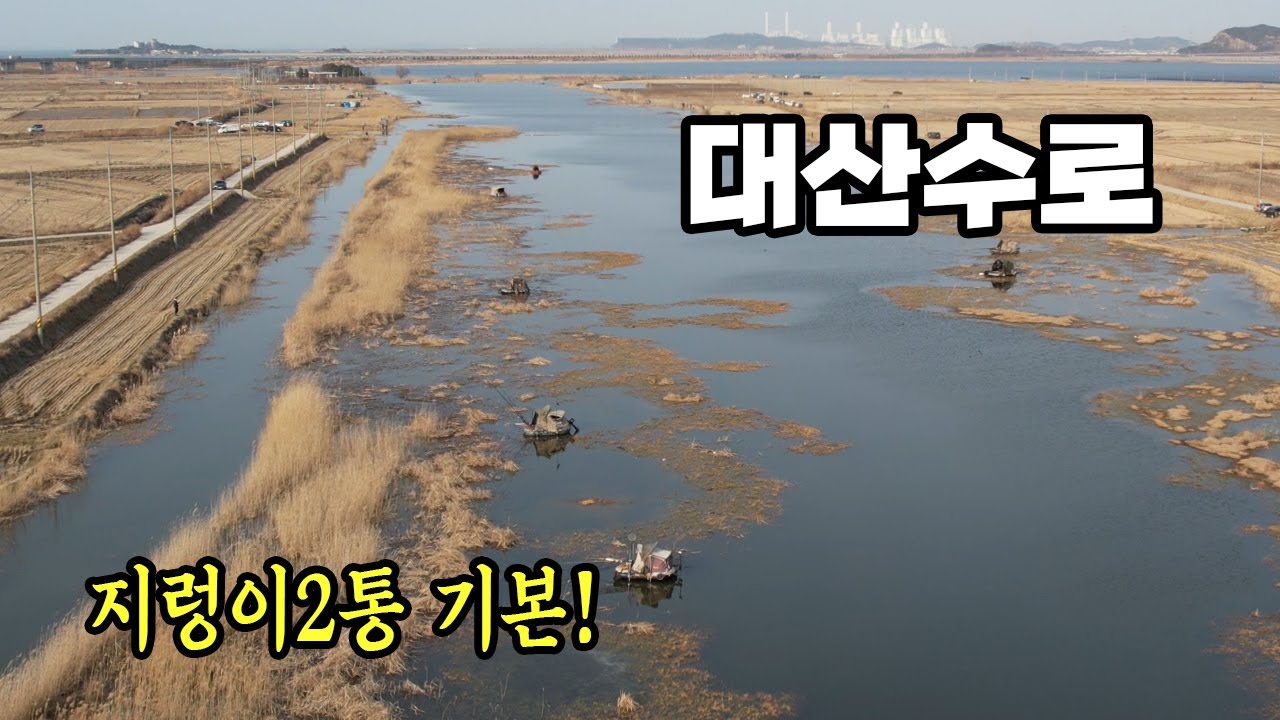 가온[붕어보트낚시]Ver138. 대호만 대산수로 부들속 대물이 꿀렁꿀렁!