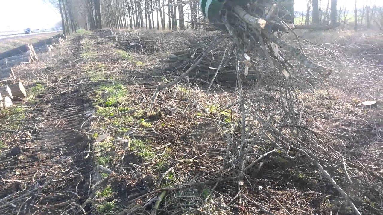 Bomen rooien Vuren met E vd Hoeven