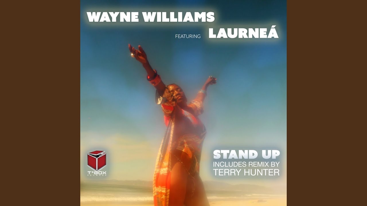 Stand Up (Terry Hunter Instrumental)