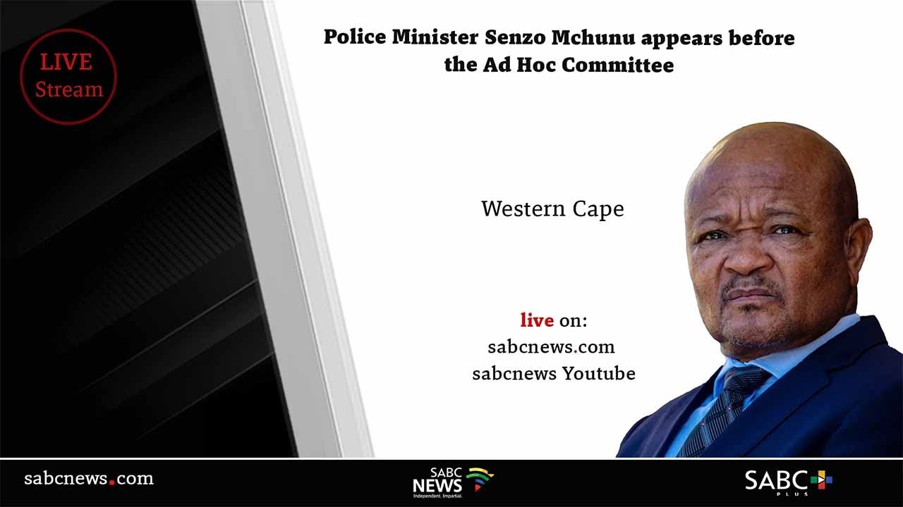 Parliament Ad Hoc Committee | Police Minister Senzo Mchunu | Day 1