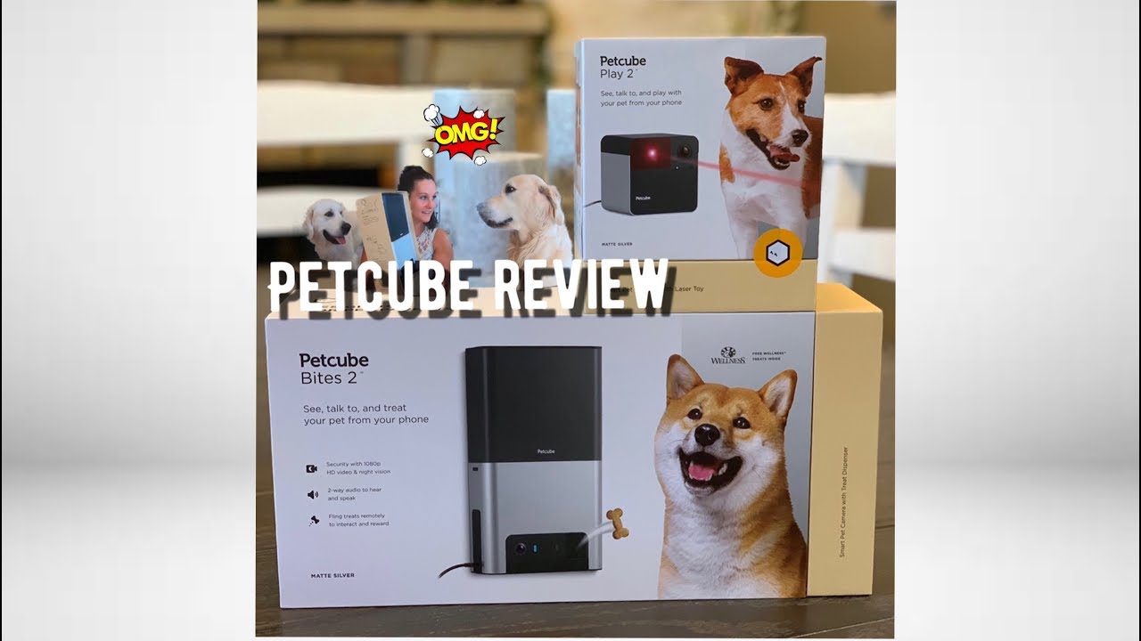 Reviewing the all-NEW Petcube Bites 2 & Play 2 pet cameras with Alexa built-in
