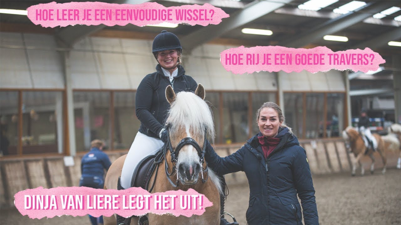 EENVOUDIGE WISSELS, TRAVERS & SCHOUDERBINNENWAARTS MET DINJA VAN LIERE | Haflingers King & Beau