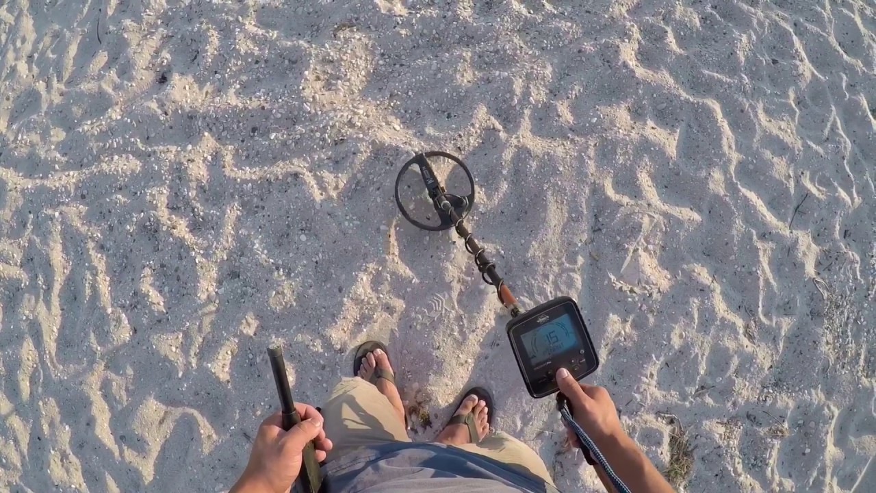 Glad I found this!  Metal detecting TreasurePro! Live digs