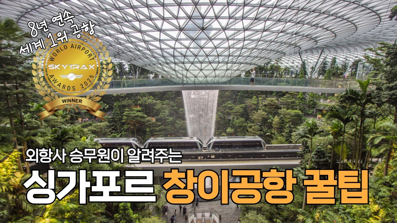 이걸 모르고 창이공항 간다고? 외항사 승무원이 알려주는 싱가포르 창이공항 꿀팁 ✈️ ✨