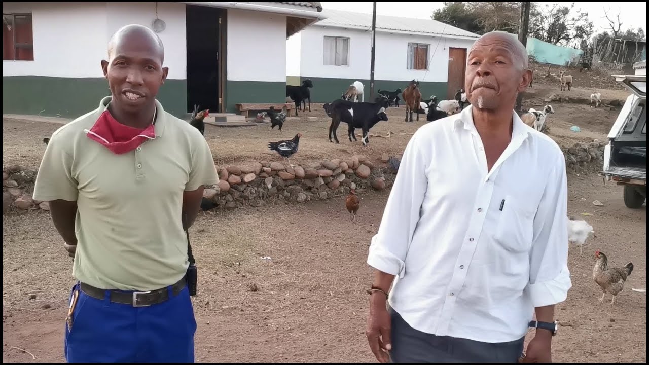 News24 labeled Kwasizabantu Mission as 'a cult' - What does the community say?