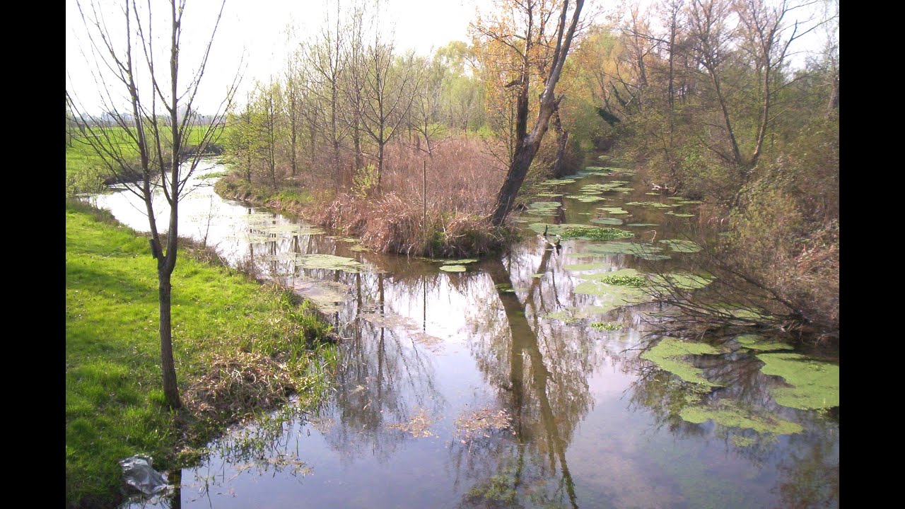 PARCO PALUDE