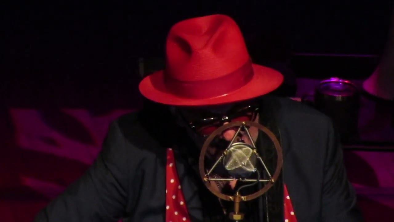 Elvis Costello & Steve Nieve - Unwanted Number (Live in Tokyo 2024)