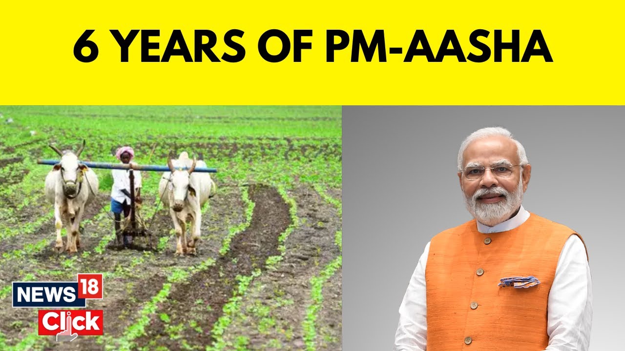 PM-AASHA: How Agri Scheme is Securing Farmers&rsquo; Income With MSP & Expanding Crop Production | N18P