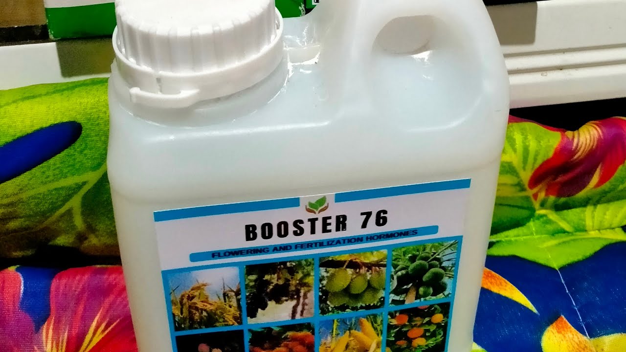 SLS update lang po tayo w/ Booster Foliar Nativo Fungicide, Virtako Insecticide