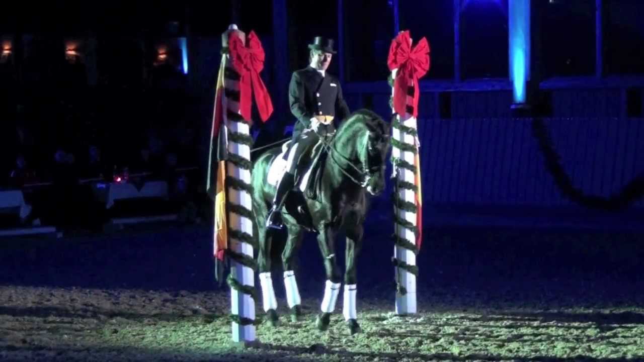 Galashow 2012 - Zuchthengst Quantum