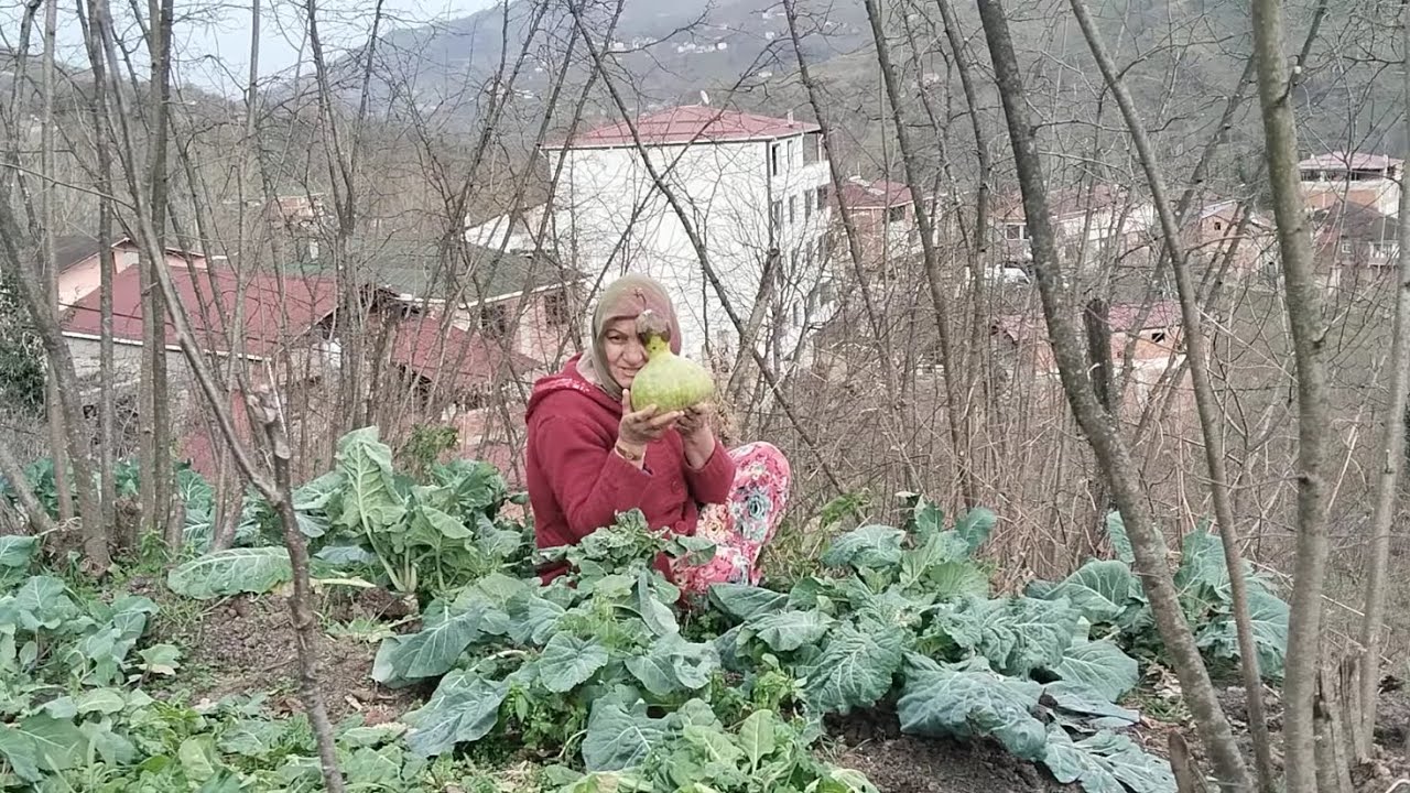 KÖYDE BAHÇEMİN SON HALİ👍BAHÇEMDEN SÜPRİZ 