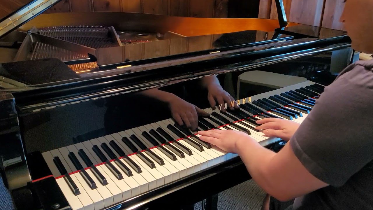We Contain Multitudes - Ólafur Arnalds (Piano)