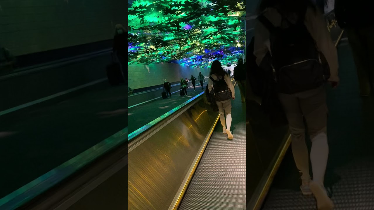 Atlanta Airport Rainforest
