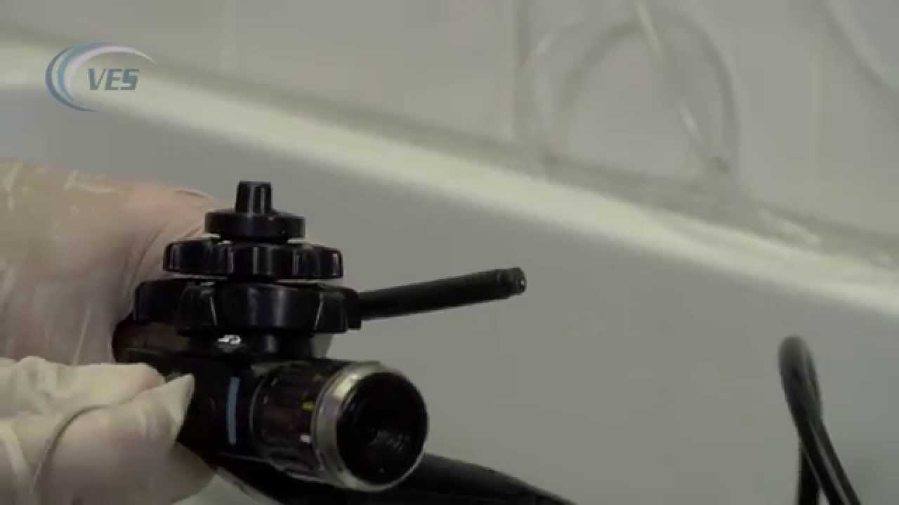 VES Veterinary Gastroscope Leak test, Cleaning and Disinfection.