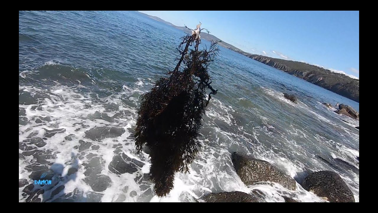 Fishing Mantra: 浑水摸鱼