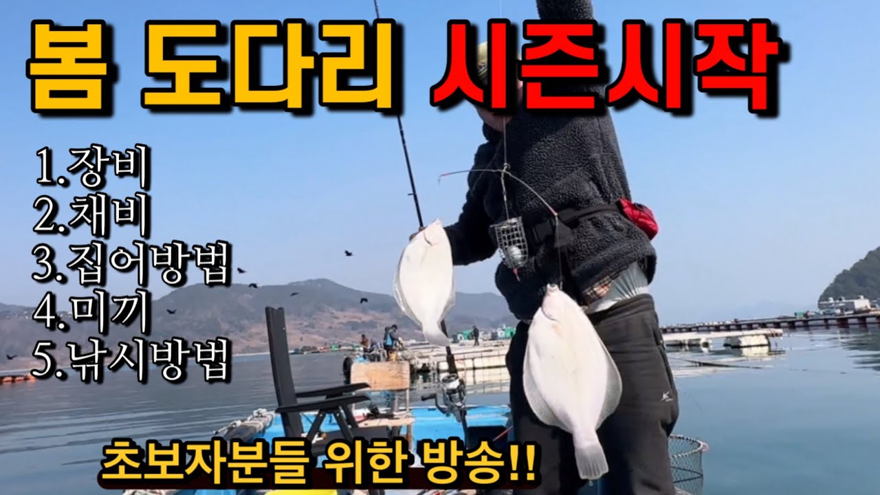이렇게 하시면 도다리 잘 잡을수 있습니다!!(초보자분들 위한 꿀팁)도다리 먹방