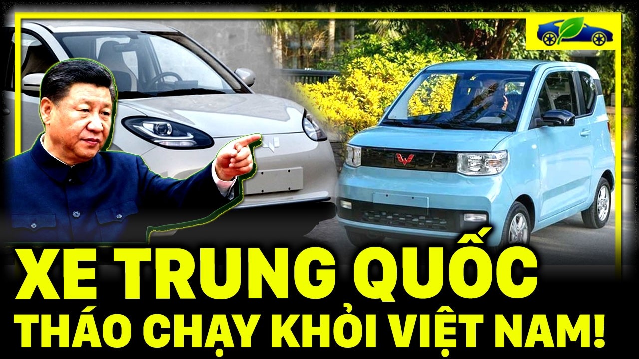 Đại Lý Tháo Chạy, Trùm Xe Điện Trung Quốc Sụp Đổ Tại VN?